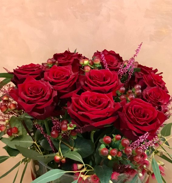 Rosa rossa