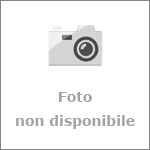 Fascio di mimosa
