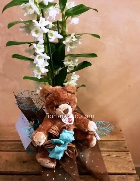 orchidea con orsetto