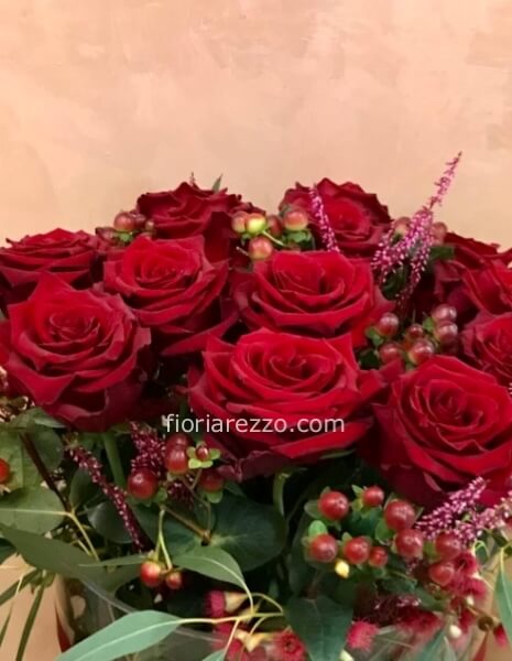 Rosa rossa 